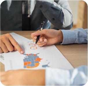 Immigration Strategy Development